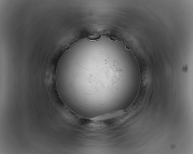 X0000102280515200807251401