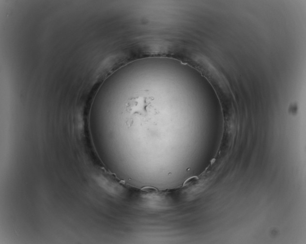 X0000102280516200807251401