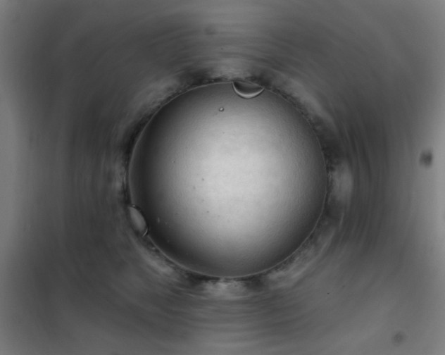 X0000102280517200807251401