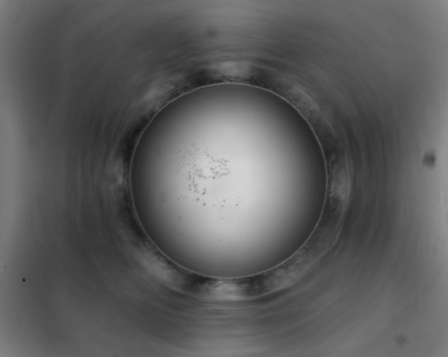 X0000102280518200807251401