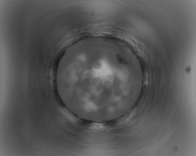 X0000102280519200807251401