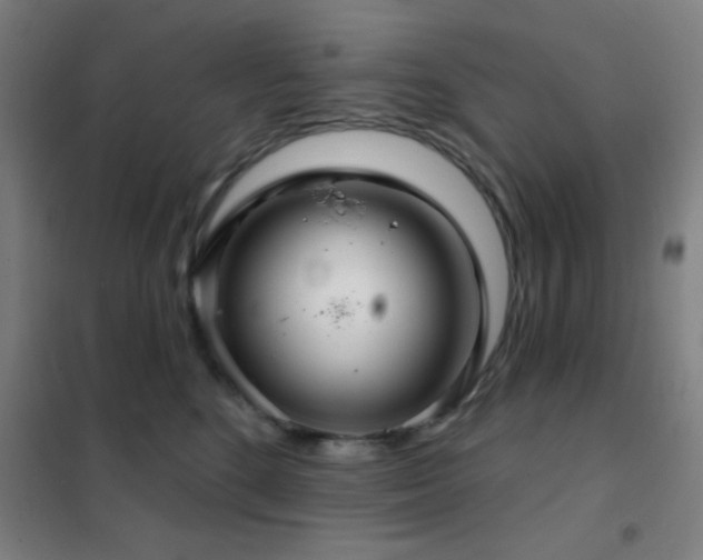 X0000102280520200807251401