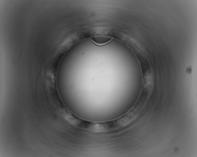 X0000102280522200807251401