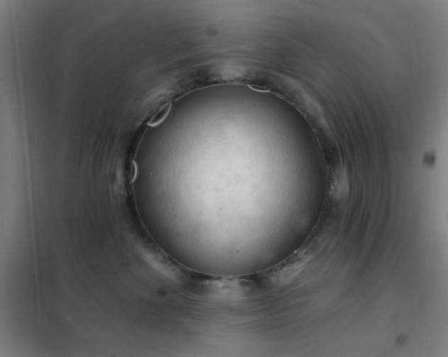 X0000102280524200807251401
