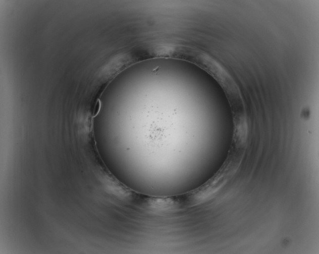 X0000102280525200807251401