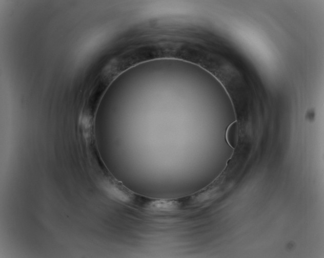 X0000102280526200807251401