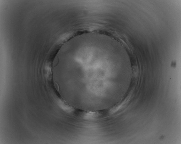X0000102280527200807251401