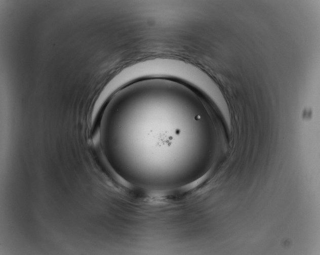 X0000102280528200807251401