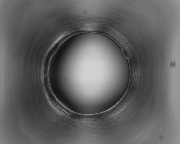 X0000102280530200807251400
