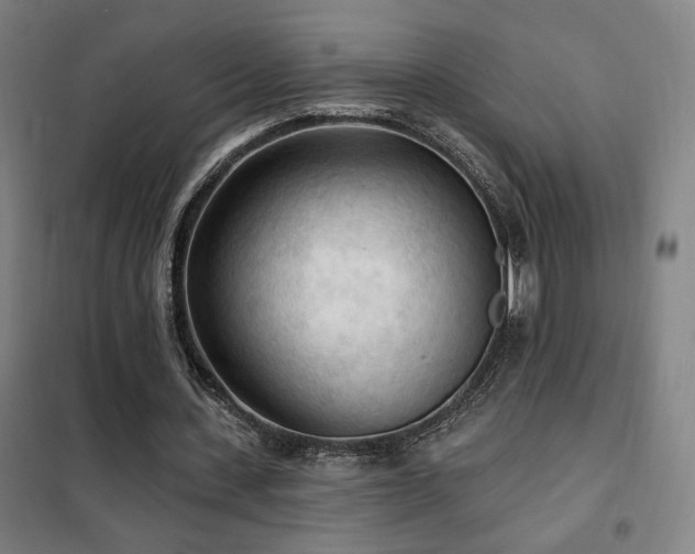 X0000102280531200807251400