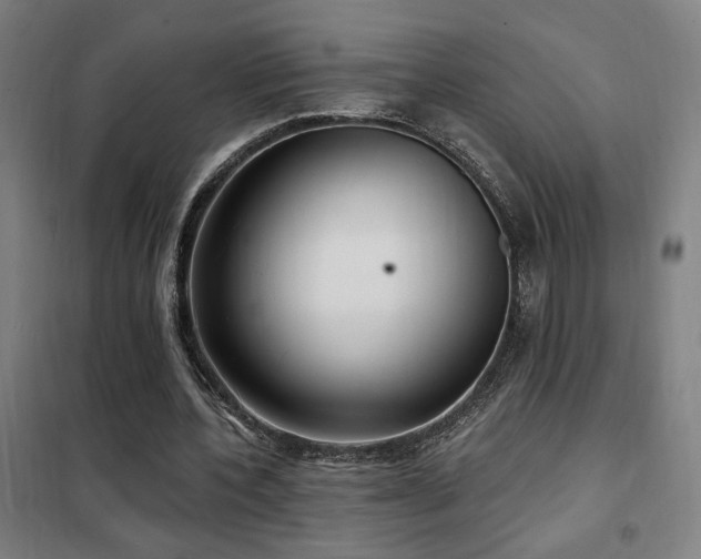 X0000102280532200807251400