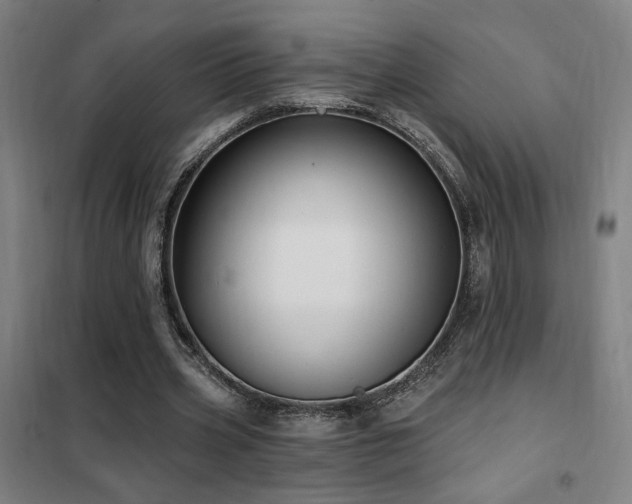 X0000102280533200807251400