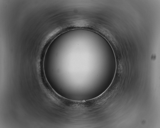 X0000102280535200807251400
