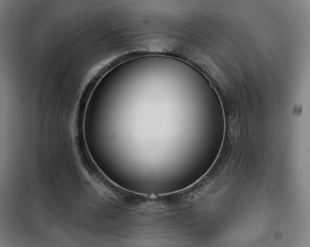 X0000102280536200807251400