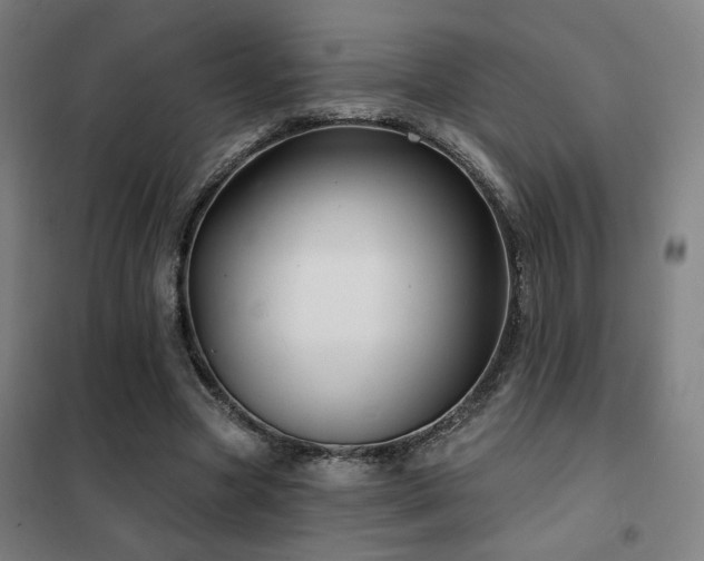 X0000102280537200807251400