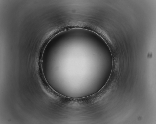 X0000102280538200807251400