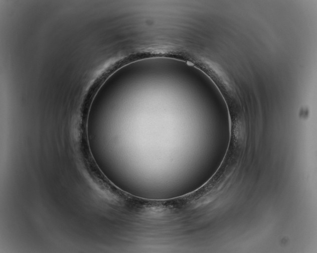 X0000102280540200807251400