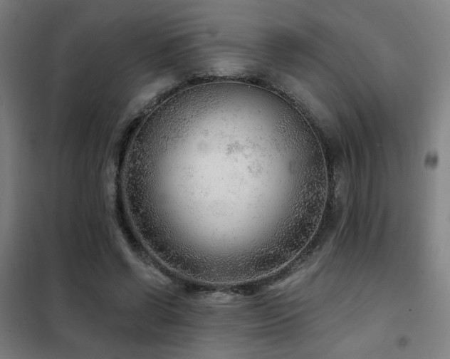 X0000102280542200807251400