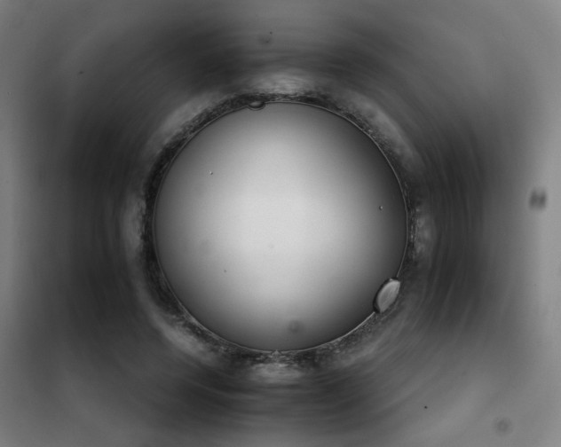 X0000102280544200807251401