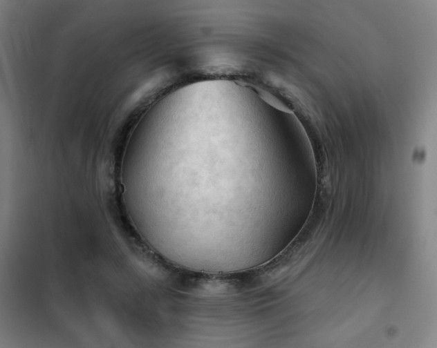 X0000102280547200807251401