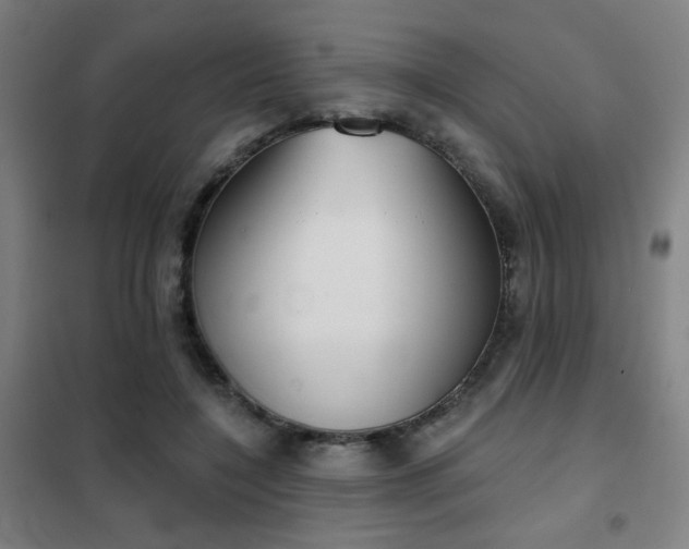 X0000102280548200807251401