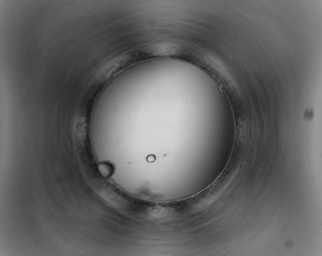 X0000102280549200807251401