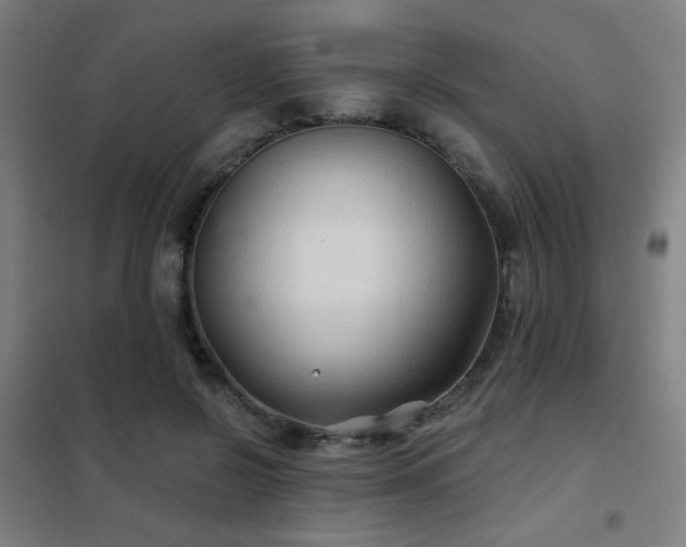 X0000102280550200807251401