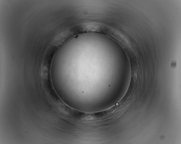 X0000102280551200807251401