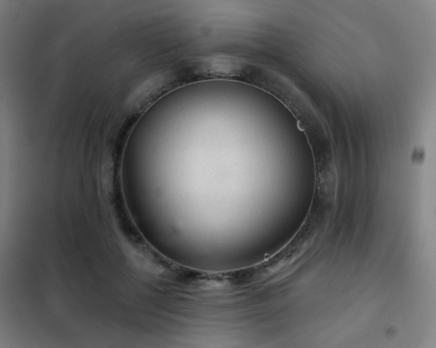 X0000102280552200807251401
