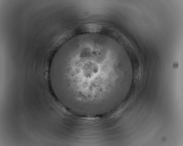 X0000102280553200807251401