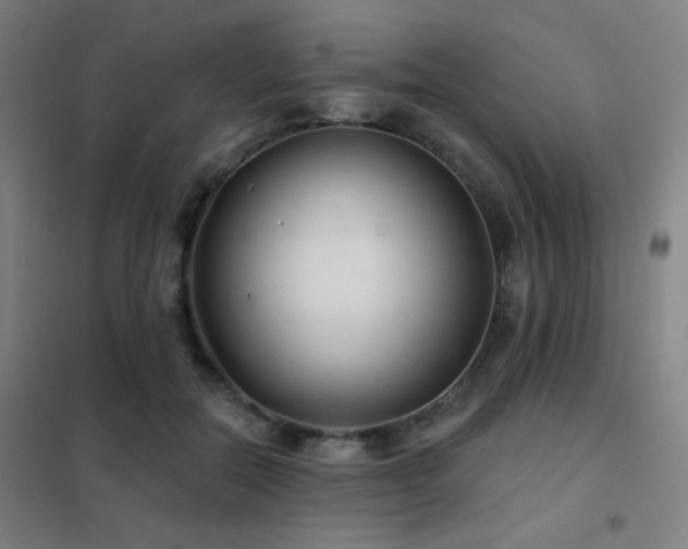 X0000102280554200807251401