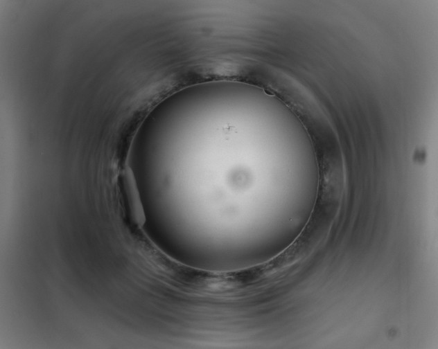 X0000102280555200807251401