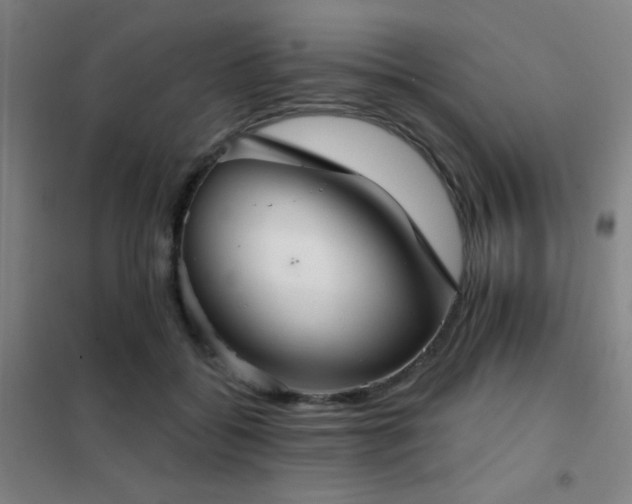 X0000102280556200807251401