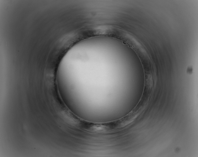 X0000102280557200807251401