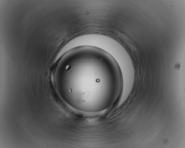X0000102280560200807251401