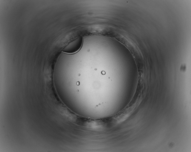 X0000102280561200807251401