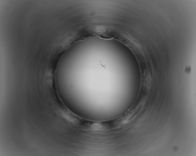 X0000102280562200807251401