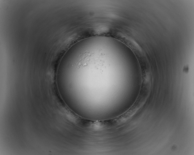 X0000102280565200807251401