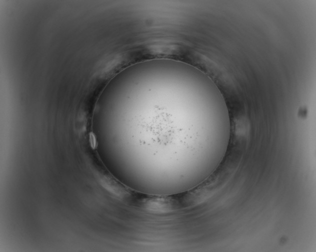 X0000102280567200807251401