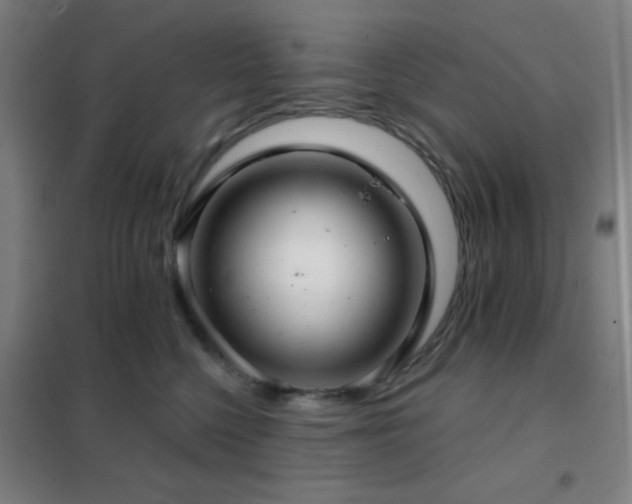 X0000102280568200807251401