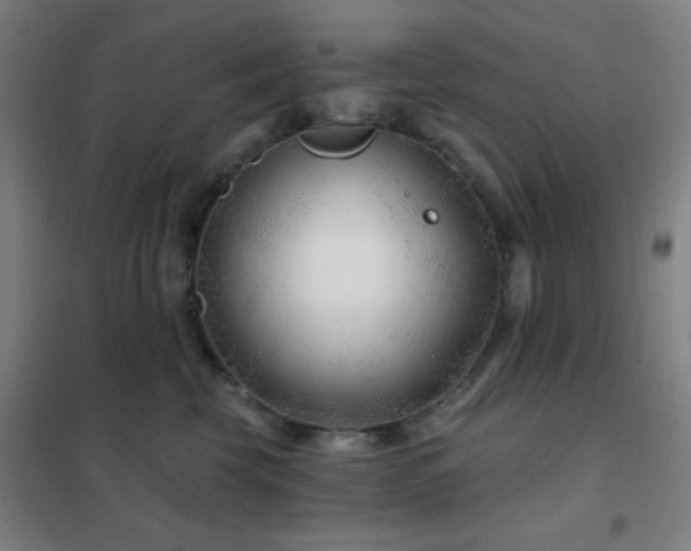 X0000102280569200807251401