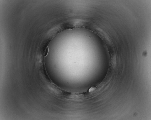 X0000102280571200807251401