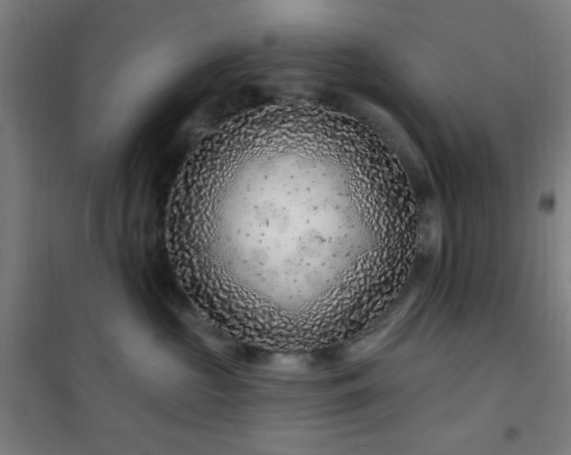 X0000102280573200807251401