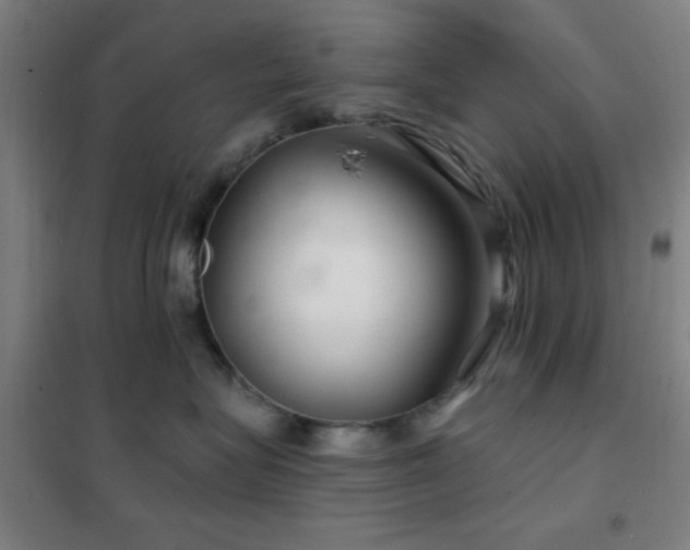 X0000102280575200807251401