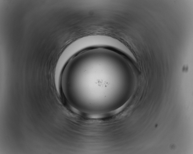 X0000102280576200807251401
