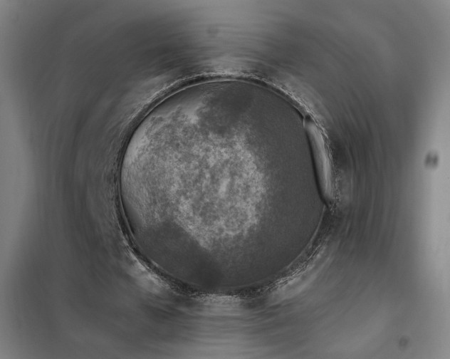 X0000102280577200807251400