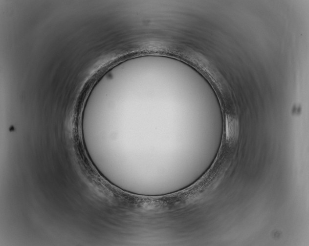 X0000102280579200807251400