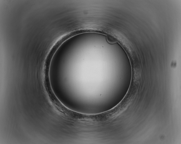 X0000102280580200807251400