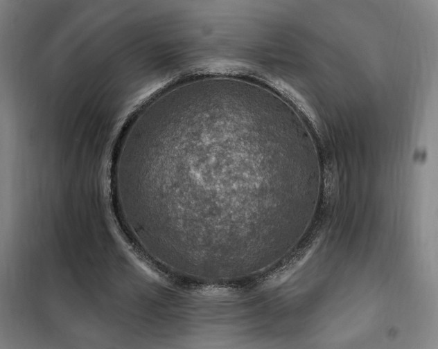 X0000102280581200807251400