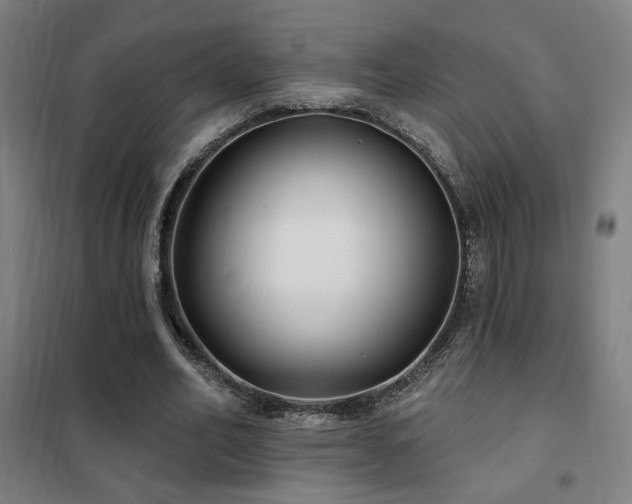 X0000102280582200807251400